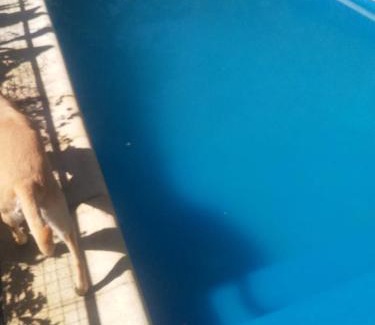 Sierra de los Padres House | Sierra Bonita - Viví en Armonía