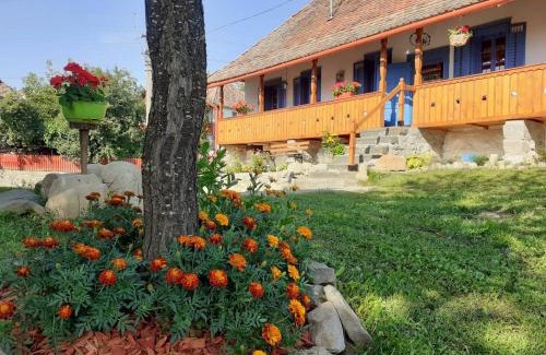 Siclod House | Siklód. Botond Panoráma Kulcsosház (6 fő) Botond Panoramic Chalet