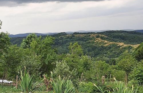 Siclod House | Siklód. Botond Panoráma Kulcsosház (6 fő) Botond Panoramic Chalet