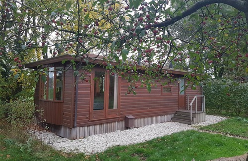 Lunteren Ski Chalet | Simple Chalet on Natural Farm near Natural Parks - 1hr from Amsterdam