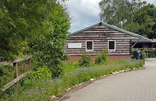 Lunteren Ski Chalet | Simple Chalet on Natural Farm near Natural Parks - 1hr from Amsterdam