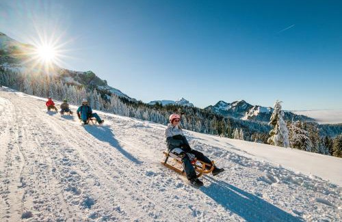 Altdorf Apartment | SimpleVibes I Lucerne I Andermatt I Nature I Family