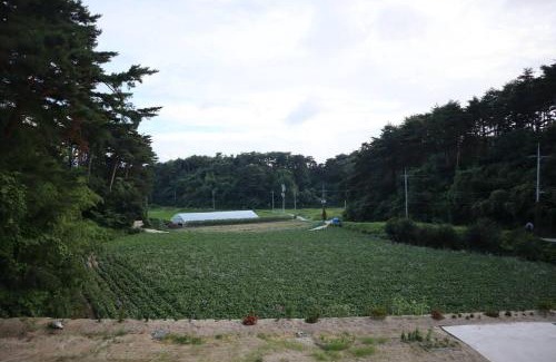 Gangneung House | Sinami83