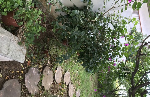 Villa San Giovanni Villa | single house with garden in Villa San Giovanni (RC) in front of Messina strait