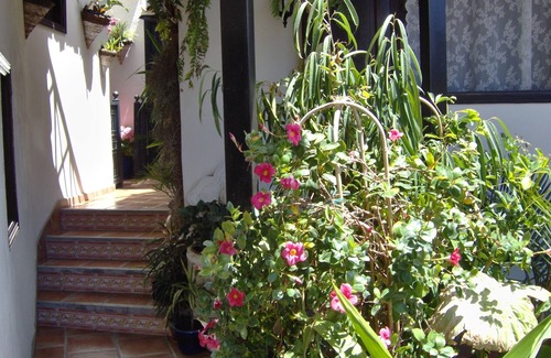 El Guincho Apartment | Single room for 1 guest with 15m² in Icod de los Vinos (120411)