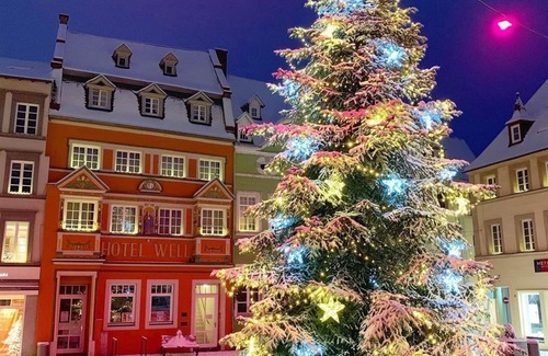 Wittlich House | Single room, shower, toilet - Hotel Well