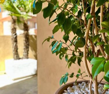 Granada Apartment | Singular Cotton