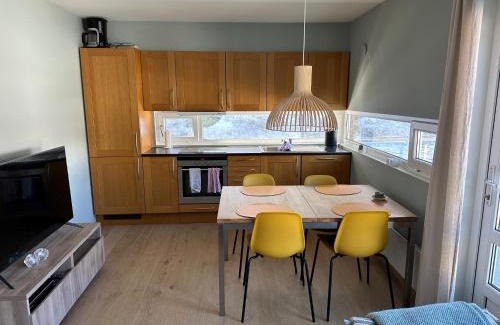 Sirdal Apartment | Sinnestunet 201A