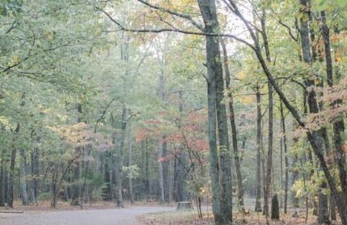 Brownsboro RV Rental | Site #39 Standard King Safari