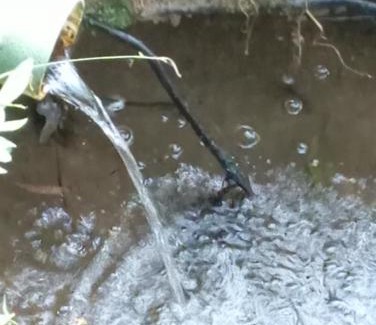 Ibiuna House | Sitio cantinho dos fischer