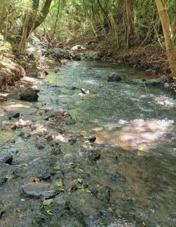 Marau Other | Sitio marau rs