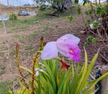 Juiz de Fora House | Sitio Vivendas da Lua