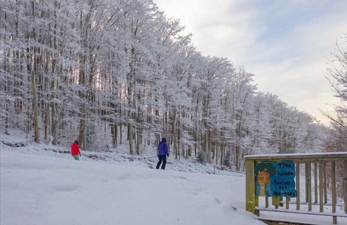 Northface House | Sits Directly on Salamander Trail at Timberline Mountain! Hot Tub on Slopes!...
