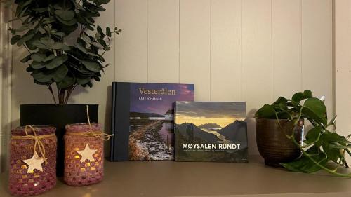 Sortland Apartment | Sjelefred - Ocean Suite