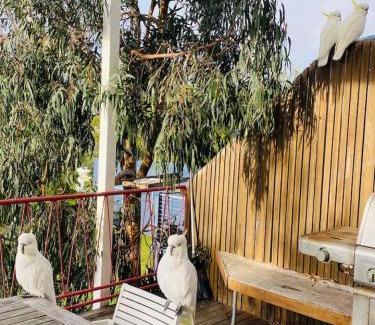 Skenes Creek House | Skenes Creek Beach Retreat Free Wi-Fi Ocean views.
