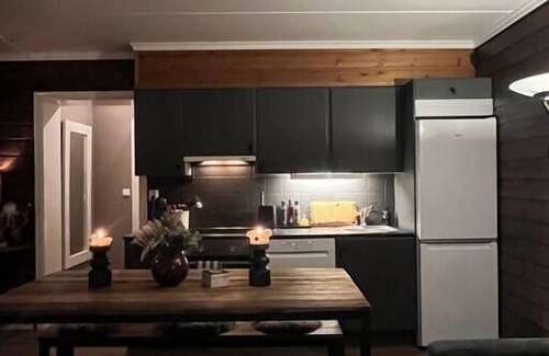 Trysil Apartment | Ski in/out apartment in Trysil with Sauna and fireplace