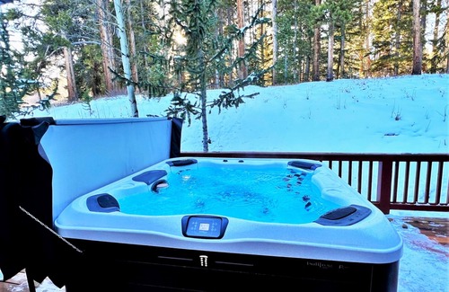 Peak 8 Ski Chalet | Ski In-Out to 4 Oclock Run Breck! Private Hot Tub