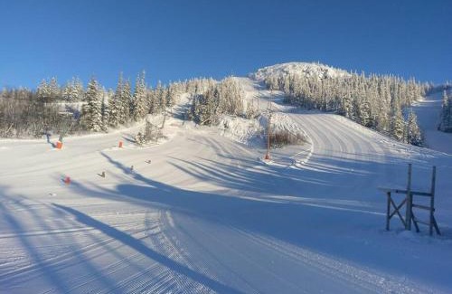 Atra Apartment | SKI INN/OUT - 4-room apartment w/3 bedroom