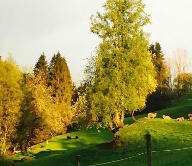 Osteroy House | Skjerping gård