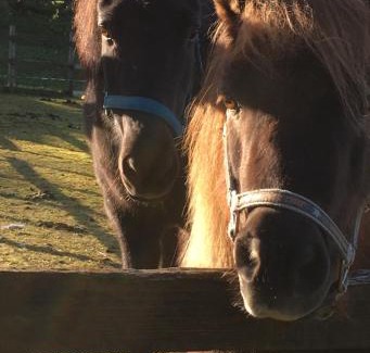 Osteroy House | Skjerping gård