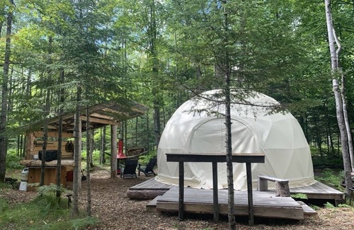 Duluth House | Skogvei Geodesic Dome with Nordic SAUNA, Boathouse & Private Lake access