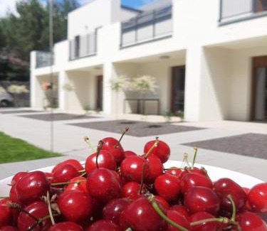 Skorzecin Apartment | Skorzęcin Pachnie Miętą