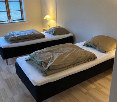 Ringsted Bed & Breakfast | Skovhuset haveværelset