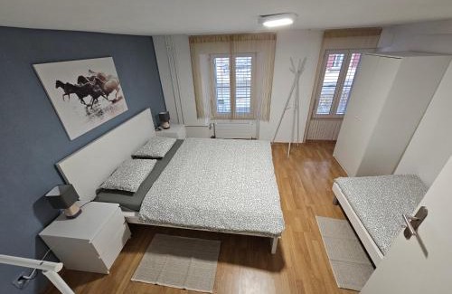 Goeschenen Apartment | Sleep here