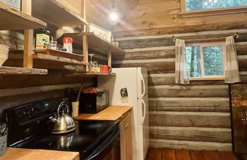 Regional District of Nanaimo Cabin | Slow-Go Log Cabin in the Woods with Cozy Woodstove
