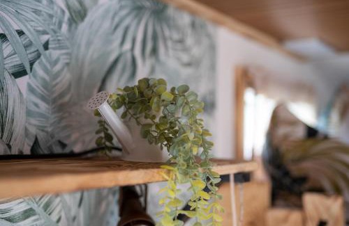 Neustrelitz Apartment | Slow Travel, aber auch gut! Wohnmobil