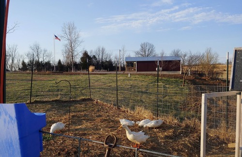 Buchanan County Cabin | Small Cabin on the Farm