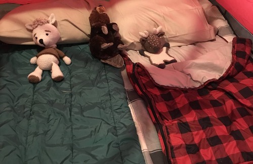 Calhan House | Small town, pet friendly: The White House