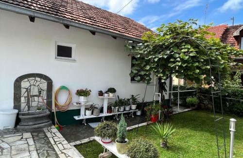 Niska Banja House | Smeštaj Pejčić