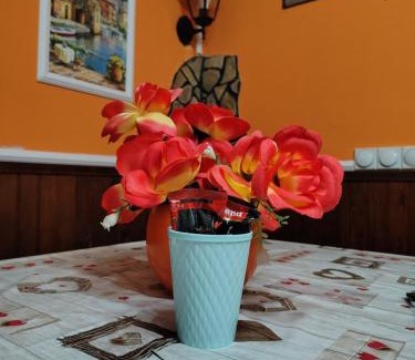 Nisava District Apartment | Smestaj Bojanine Vode