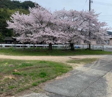 Setouchi Apartment | Smith 夫婦