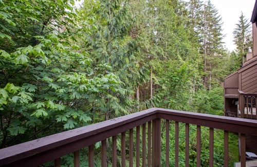 Glacier Condo | Snowater Condo #59 - Wi-Fi - Sleeps 6