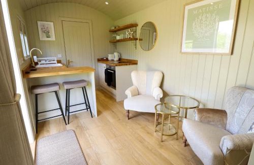 Ashby cum Fenby House | Snowdrop