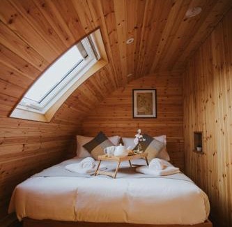 St Harmon House | Snowdrop