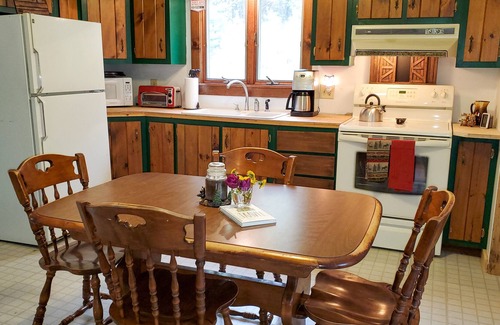 Bingham Cottage | Snug Rustic Cottage minutes from Beautiful Wyman Lake in Moscow, ME
