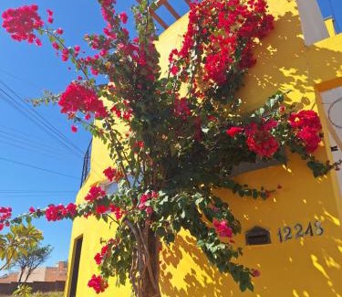 Presidente Epitacio House | Sobrado da Nice