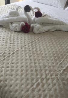 Penha House | Sobrado Praia, Beto Carrero Park