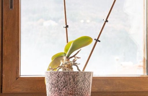 Florina Ski Chalet | Soffitta House Sofi!