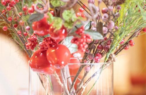 Florina Ski Chalet | Soffitta House Sofi!