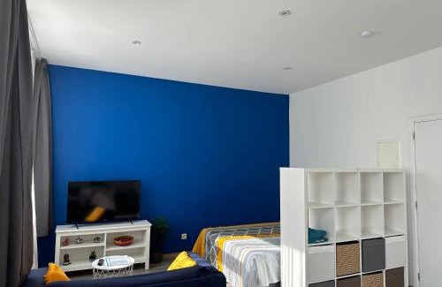Charleroi Apartment | Sofieflat - Wallifornie