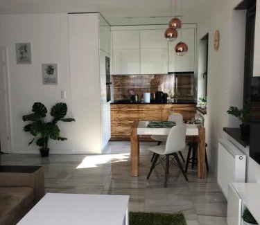 Inowroclaw Apartment | Solankowe Zacisze Botanica Inowrocław