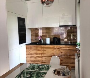 Inowroclaw Apartment | Solankowe Zacisze Botanica Inowrocław
