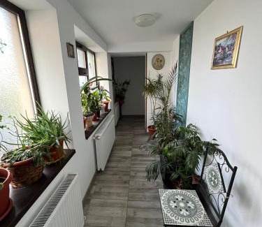 Galati Apartment | Solaria Studio