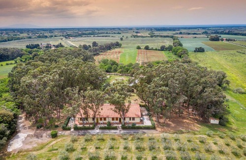 Bibbona House | Sole 3 - Monolocale con soppalco