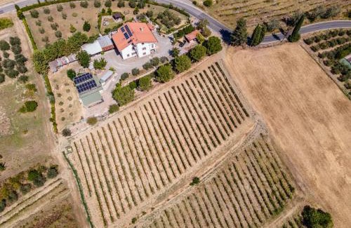 Terricciola Apartment | Sole Verde green house