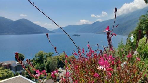 Ascona Apartment | Sollevante Ascona mit Pool und fantastischem Seesicht